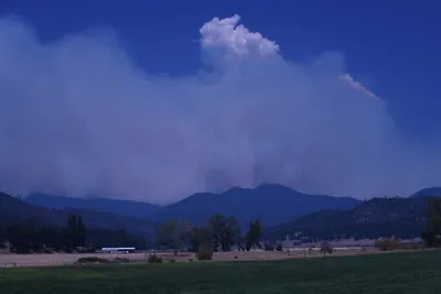 DSC_1862 (Large).JPG